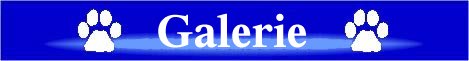 Logo Seminare
