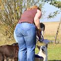 Vorheriges Bild
