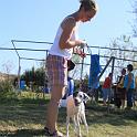 Vorheriges Bild