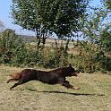 Vorheriges Bild