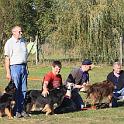 Vorheriges Bild