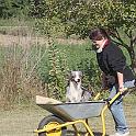 Vorheriges Bild