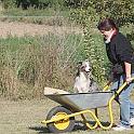 Vorheriges Bild