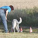 Vorheriges Bild
