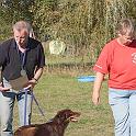 Vorheriges Bild