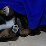 vorheriges Bild