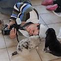 Vorheriges Bild