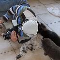 Vorheriges Bild