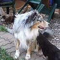 Vorheriges Bild